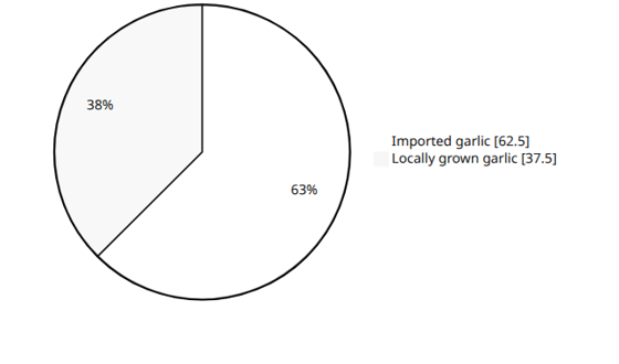 Pie chart: approximate split of South African garlic supply, 62.5% imported and 37.5% locally grown