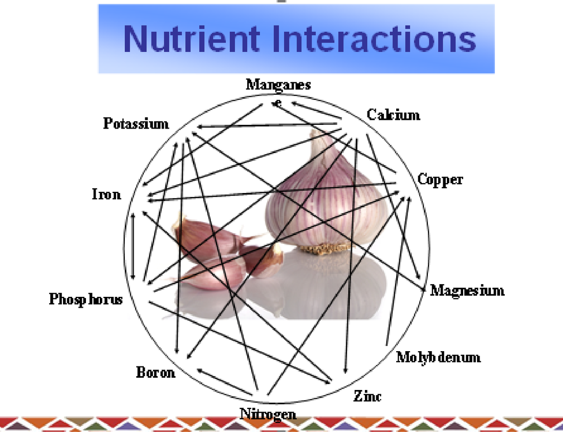 Mulders chart of nutrient interactions